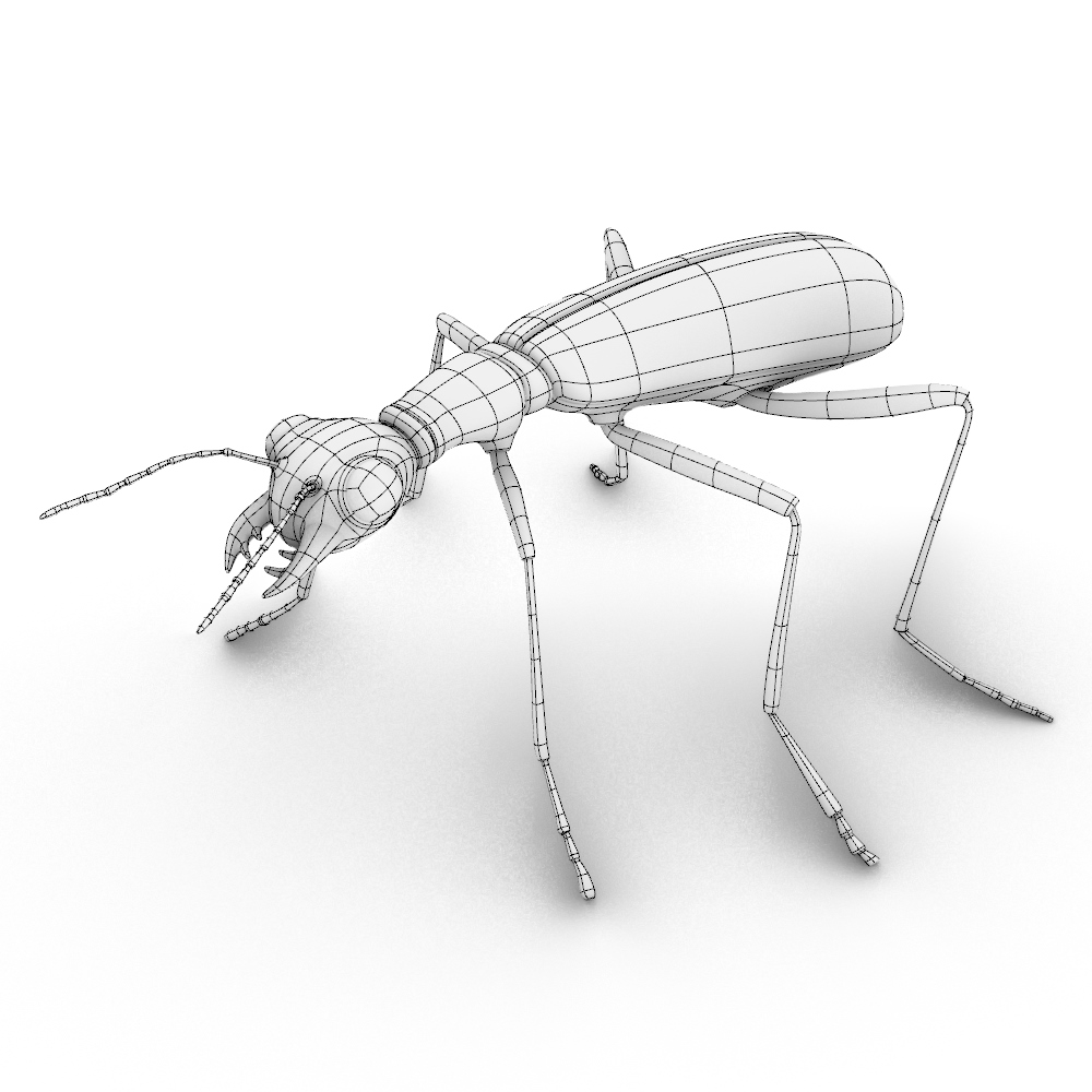 GijsによるSubDの甲虫