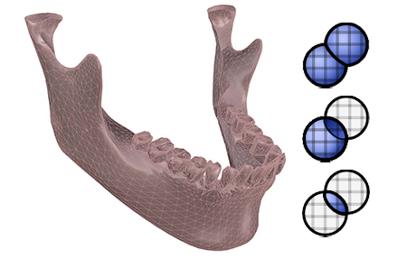 Model directly with scanned models