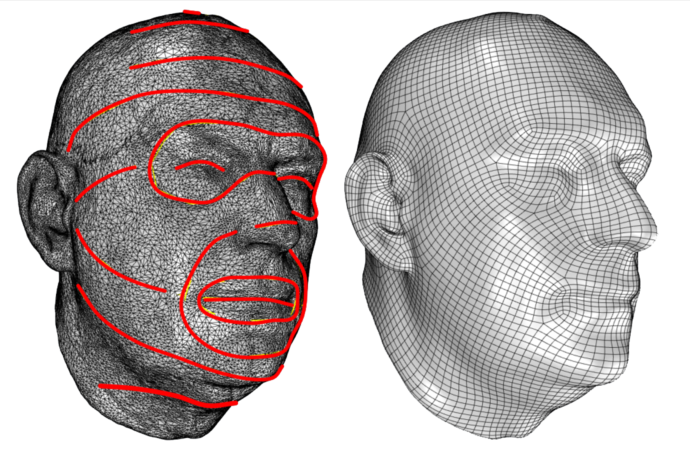 Find the principal curvature with the help of the guide curve feature (highlighted in red)